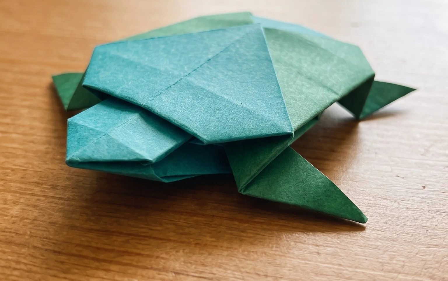 Origami Turtle: Step-by-Step Instructions
