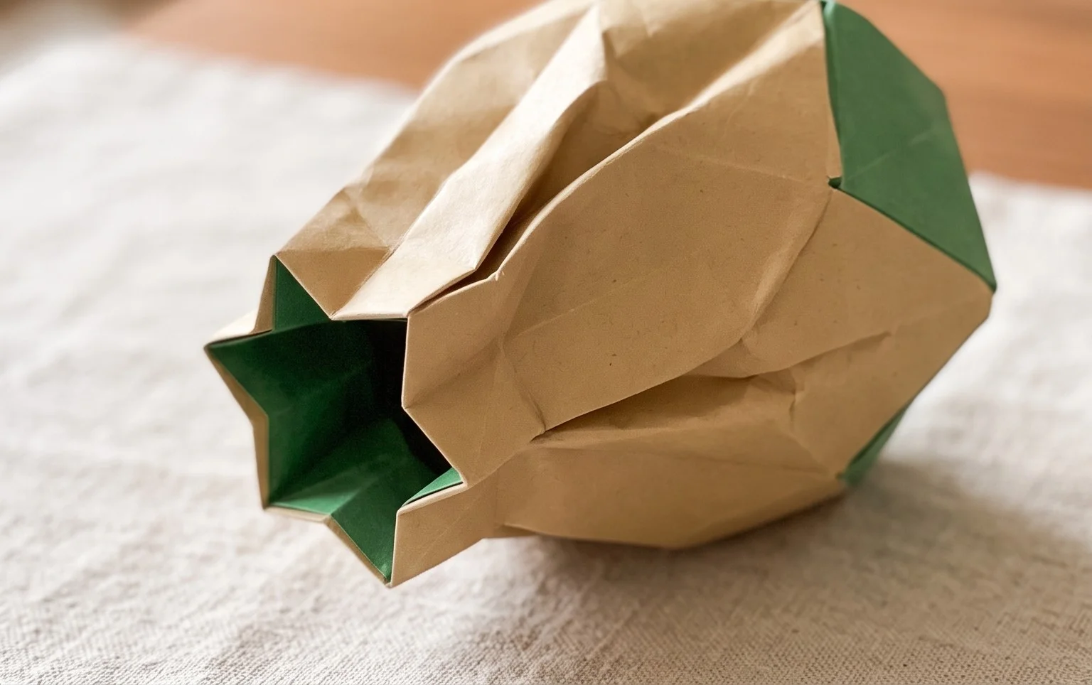 Origami Vase: Step-by-Step Instructions